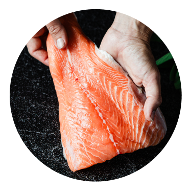 salmone